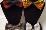 Assorted Bow Ties