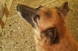 20180529_174713-scaled