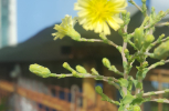 20240309_090128-scaled