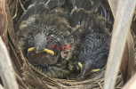 20240327_195418-2-scaled