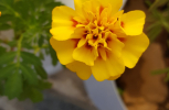 20241223_083119-scaled