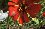 20250421_082234-scaled