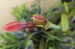 20250508_173025-scaled