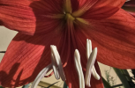 20250513_072429-scaled