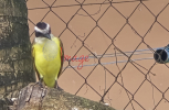 20250619_114641-scaled