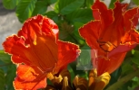 Crop 20180508_080557