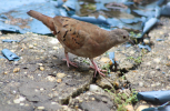 IMG_7000-scaled