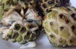 Sugar Apple