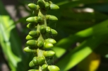 20190914_111520-scaled