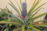 20250508_173856-scaled