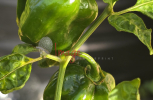 20250609_071749-scaled