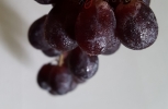 Dark Grapes