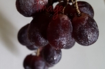 Hanging Grapes
