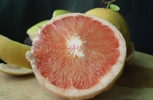 Pink Delight