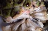 Sugar Apple