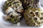 Sugar Apple