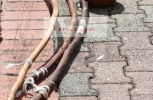 with logo IMG_9238